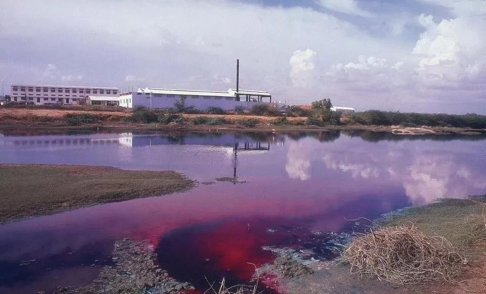 二沉池污泥上浮 二沉池污泥上浮