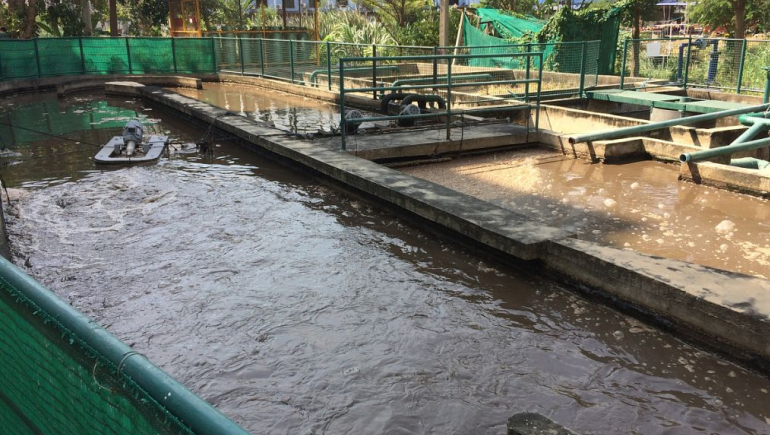 食品加工污水處理流程有哪些？如何更好的處理食品廢水？