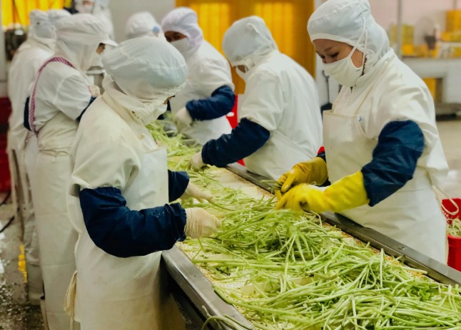 三種食品污水處理設(shè)備工藝流程，看看哪種適合您？