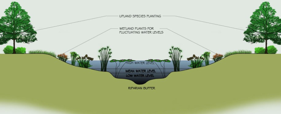 表流濕地和潛流濕地分別是什么意思(表流人工濕地施工) 表流濕地和潛流濕地分別是什么意思(表流人工濕地施工)