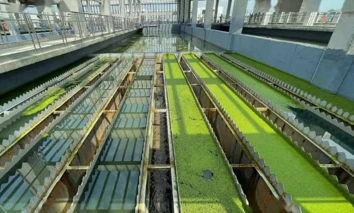 深床濾池的工作原理是什么(深床濾池工藝) 深床濾池的工作原理是什么(深床濾池工藝)