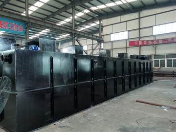 揭秘：海鮮加工廠如何有效處理清洗廢水？